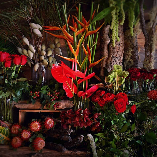 Florist Choice – Passionate Reds