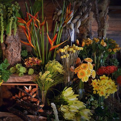 Florist Choice – Sunkissed Yellows & Oranges