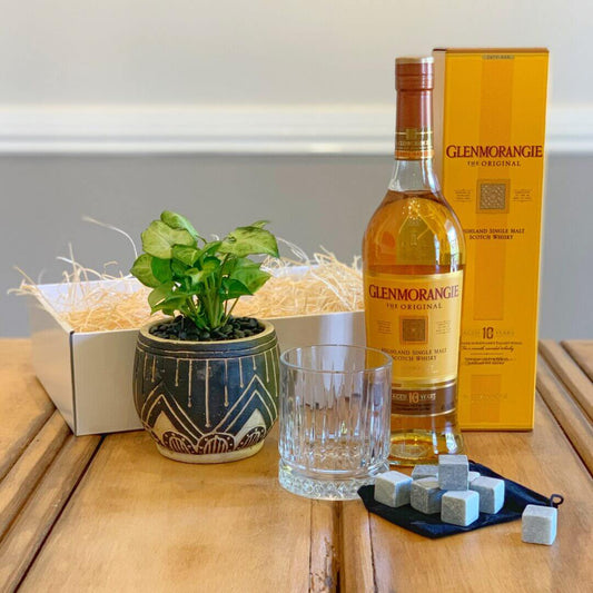 Whisky Business – Whisky Plant Hamper